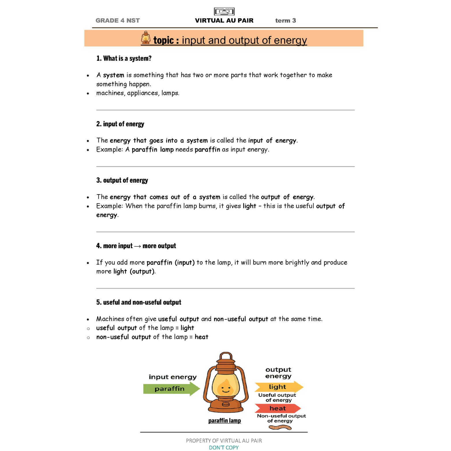 Grade 4 NST term 3 input and output of energy