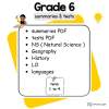 Grade 6 PDF summaries and tests 2025