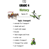 Grade 4 History Term 3 : Transport PDF summary and worksheet