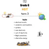 Grade 6 NST term 3 summary and worksheet