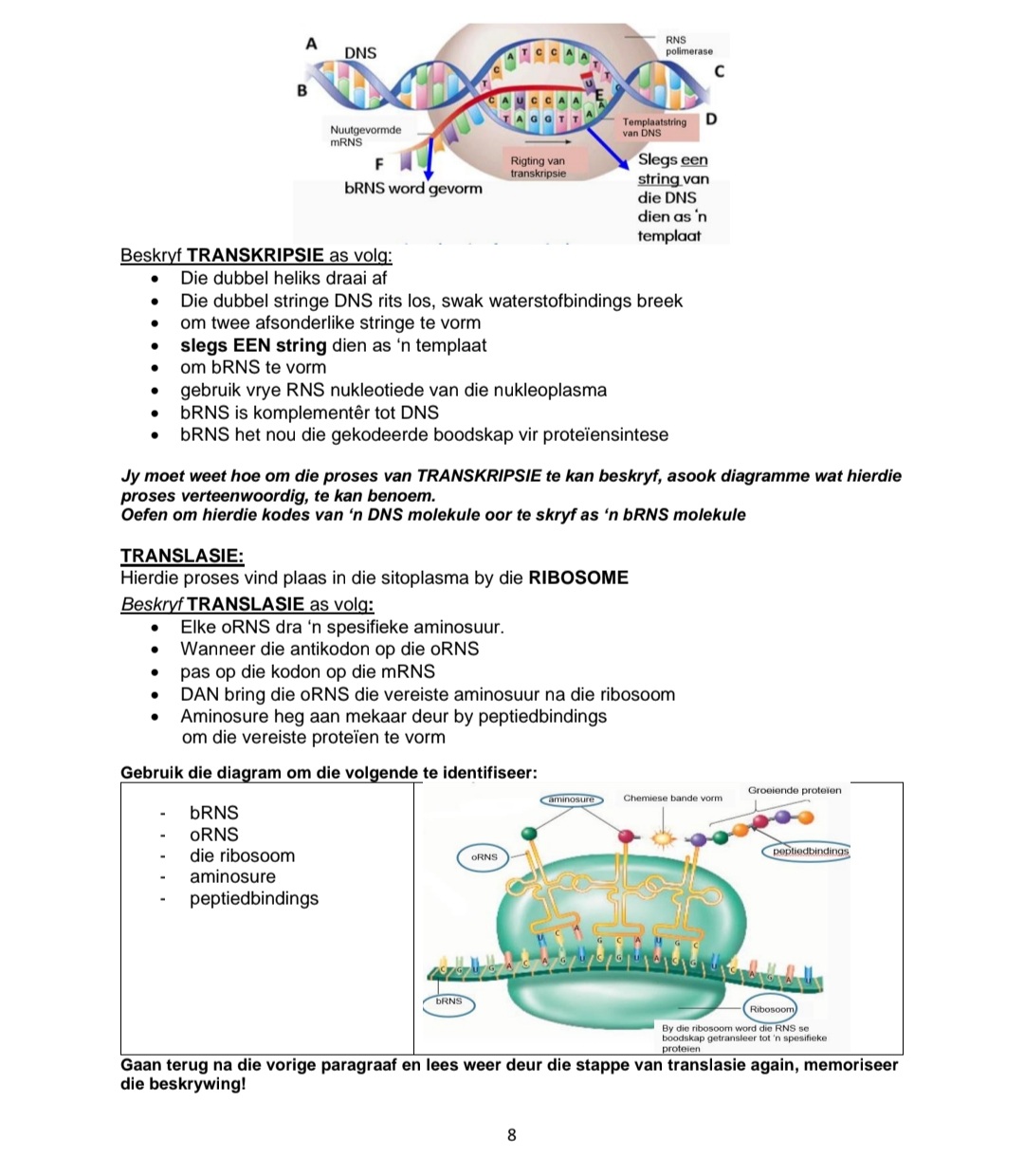 Graad 12 Lewenswetenskappe Opsommings en Hersiening Vraestel 2 - Image 4