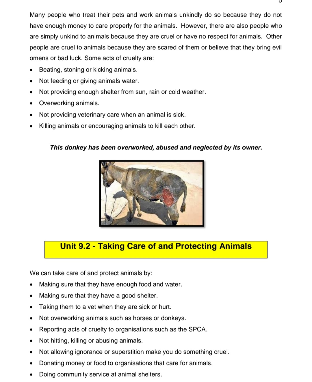 Grade 6 Life Skills Summary (Term 3 +4) - Image 3