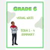 Grade 6 Visual Arts Summary (Term 1 - 4 )