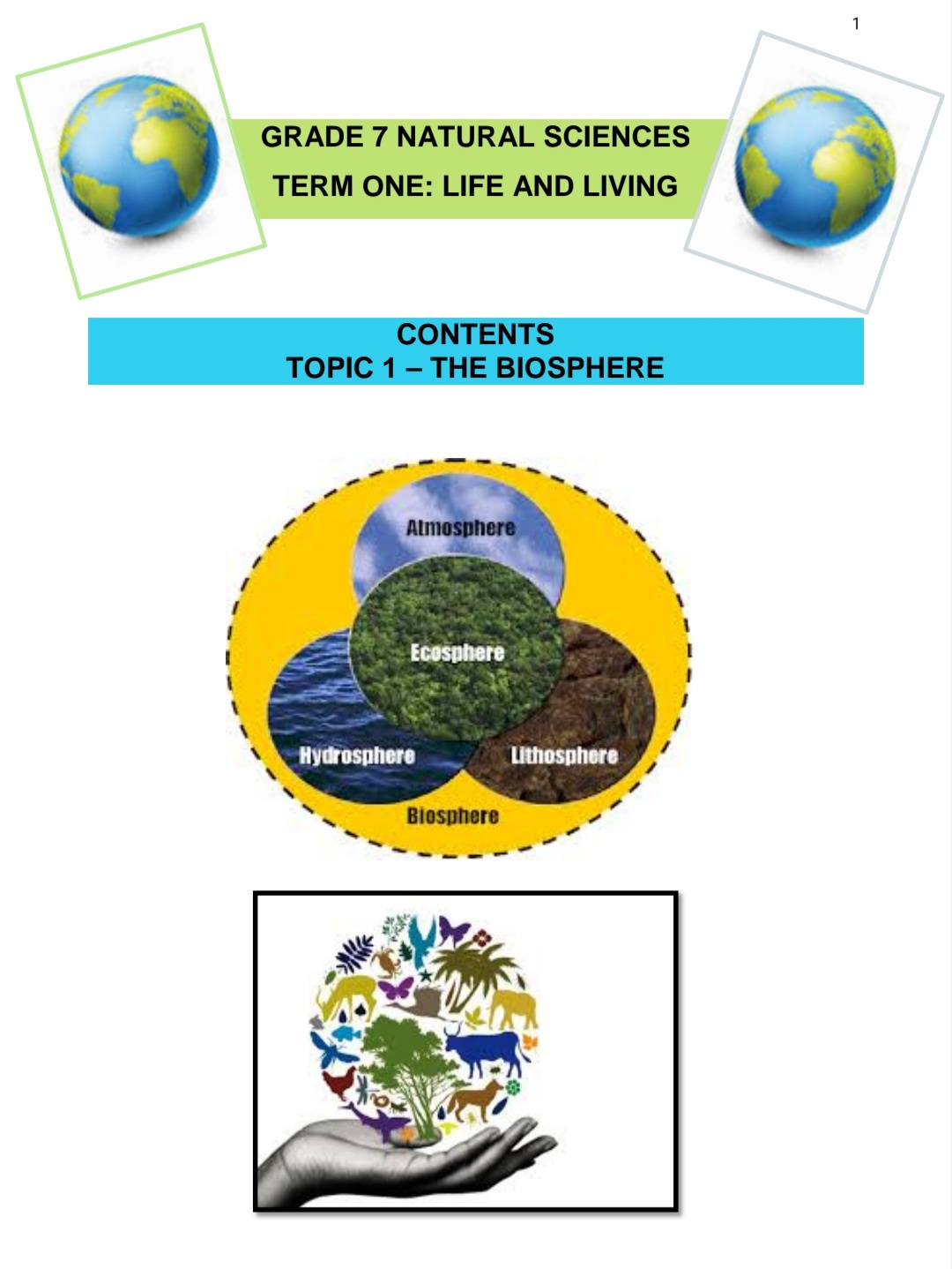Grade 7 Natural Science Summary ( Term 1 - 4) - Image 2