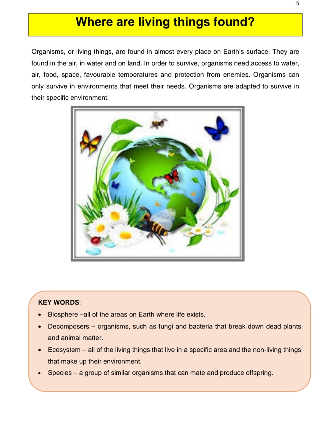 Grade 7 Natural Science Summary ( Term 1 - 4) - Image 6