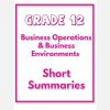 Grade 12 Business Studies Short Summary (Business Environments & Operations)