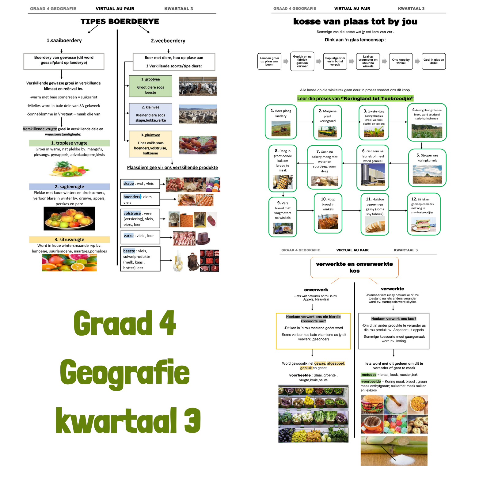 Graad 4 Geografie Kwartaal 3 PDF | Mense, Boerdery & Kos + Werkkaart & Memo - Image 2