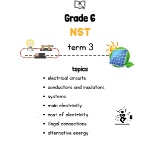 Grade 6 NST Term 3