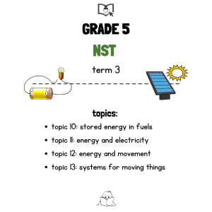 Grade 5 NST Term 3