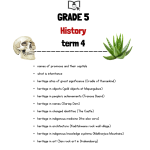 Grade 5 History Term 4