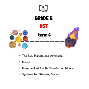 Grade 6 NST Term 4