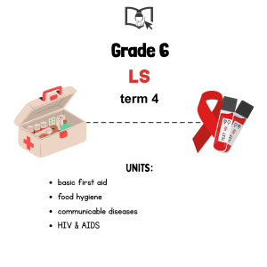 Grade 6 Life Skills Term 4