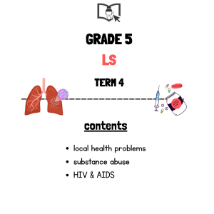 Grade 5 Life Skills Term 4