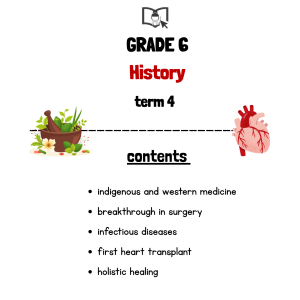 Grade 6 History Term 4