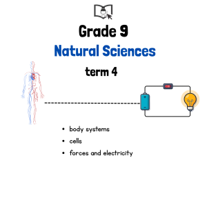 Grade 9 Natural Science Term 4