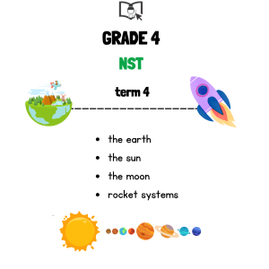 Grade 4 NST Term 4