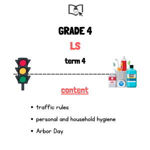 Grade 4 Life Skills Term 4
