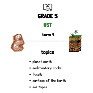 Grade 5 NST Term 4